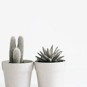 Meet your Posher, Maris